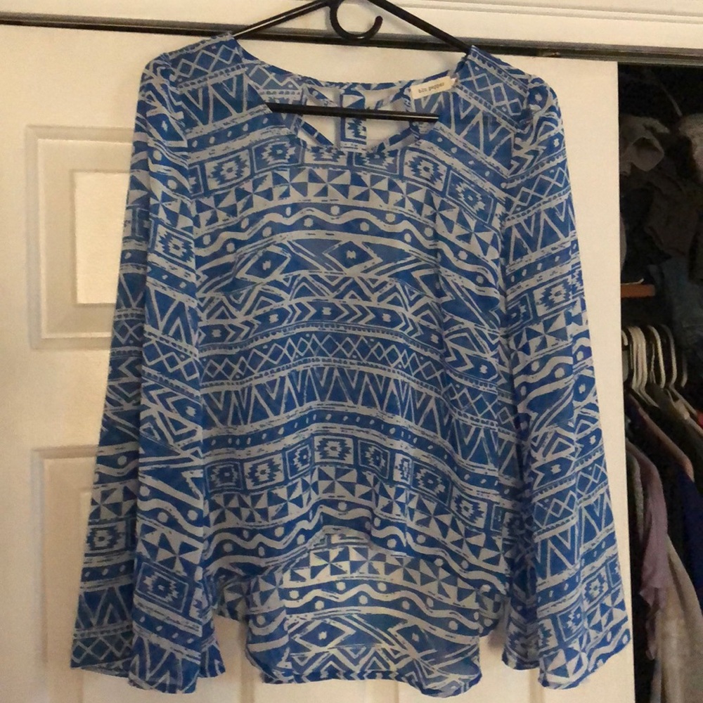 Beautiful sheer long sleeve blouse.